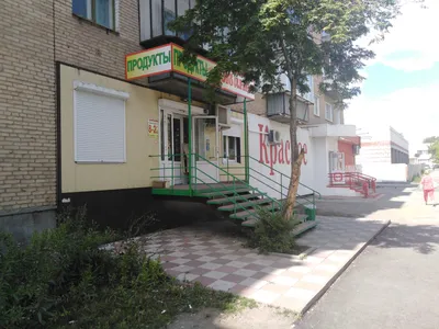 Рябинка Картинка фотографии