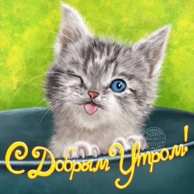 Новая рисованная картинка с добрым утром с прикольным котенком — Скачайте  на Davno.ru