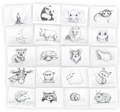 Рисование Простым Карандашом для детей 8-10 лет: Животные | SkillBerry |  Онлайн-школа рисования и рукоделия для детей и взрослых СкиллБерри