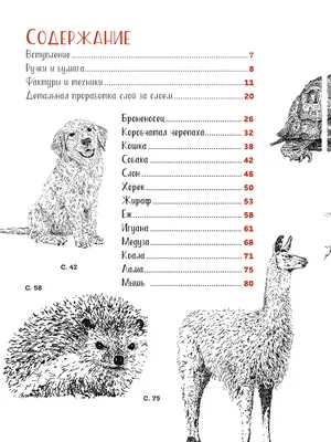 Иллюстрация 2 из 6 для Как рисовать животных | Лабиринт - книги. Источник:  Рыженький