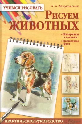 Как нарисовать 100 животных: шаг за шагом, цена — 210 р., купить книгу в  интернет-магазине