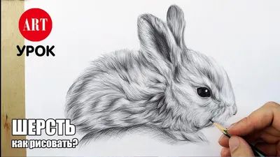 Как рисовать кролика и шерсть животных карандашом. - YouTube
