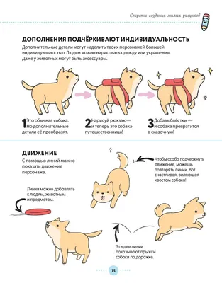 Набор Свободной Руки Рисовать Милые Головы Животных — стоковая векторная  графика и другие изображения на тему Домашняя кошка - iStock