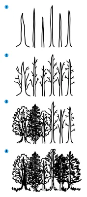 Как нарисовать (рисовать) лес с деревьями » Рисуем легко и поэтапно -  мастер-классы по рисованию леса и рисунки для срисовки для детей и  начинающих карандашом и красками