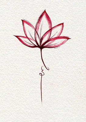 Картинки для срисовки: цветы (рисунки цветов карандашом) | Марина Уляхина |  Дзен