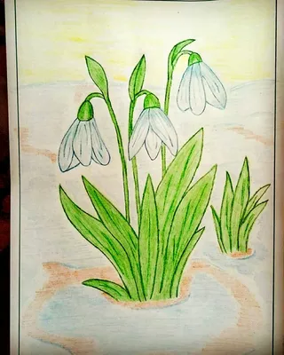Рисунки весна картинки для детей фотографии