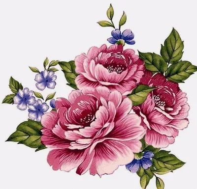 Рисунок \" Красные цветы (текома)\" акварель – заказать на Ярмарке Мастеров –  25QKBRU | Картины, Жуковский