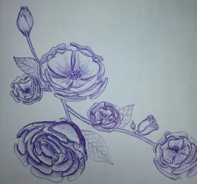Как нарисовать цветок | Простой рисунок цветка - YouTube