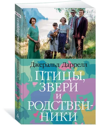 Счастливая Семья С Большой Все Родственники Собрав В Том Числе Мать, Отец,  Тетя, Дядя, Бабушки И Дедушки Иллюстрации С Соответствующими Словами.  Клипарты, SVG, векторы, и Набор Иллюстраций Без Оплаты Отчислений. Image  65541820