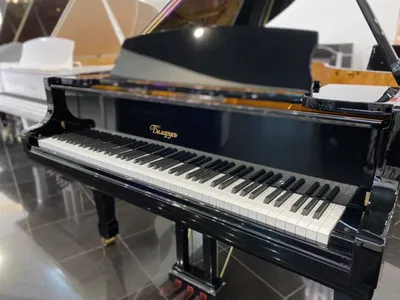Цифровой рояль Yamaha CLP-795 GP купить в интернет-магазине Pianoplanet.ru  всего за 899 990 руб.