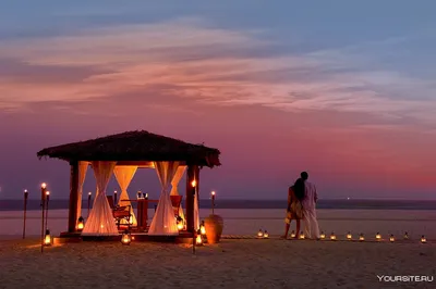 Романтический пикник на берегу моря, хруст свежих круассанов и улыбка  любимого! Что может быть прекрасней? Именно о таком свидании… | Instagram