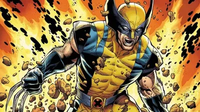 Фигурка Росомаха: Люди Икс коллекция Marvel Legends Wolverine  (ID#1416492539), цена: 1950 ₴, купить на Prom.ua