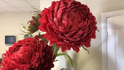 Ростовые цветы из изолона фоамирана купить в СПб | большие цветы интерьерные