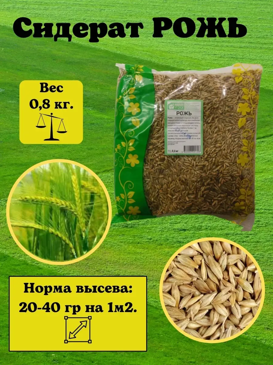 Купить Рожь В Оренбургской Области На Авито