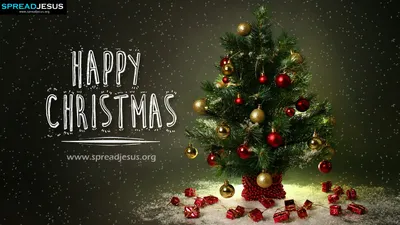Beautiful Christmas Tree Wallpapers | HD Wallpapers | ID #10584