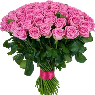Букет из 51 розовой розы (60 см) за 6725р. Позиция № 527