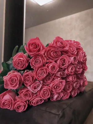 Купить букет из 51 бело-розовой розы Джумилия (Jumilia) с доставкой по  Минску