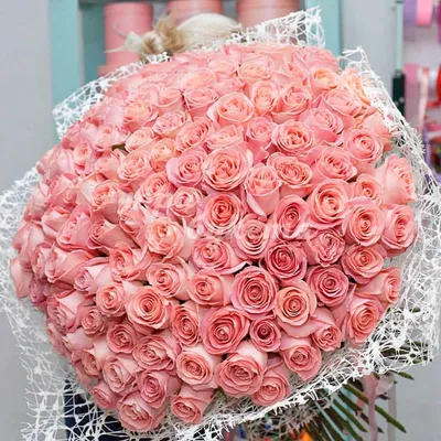 15 светло розовых роз | доставка по Москве и области