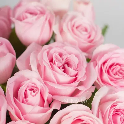 Купить розы микс белые и розовые от V-flowers. Заказать букет розовых роз.  Доставка роз.