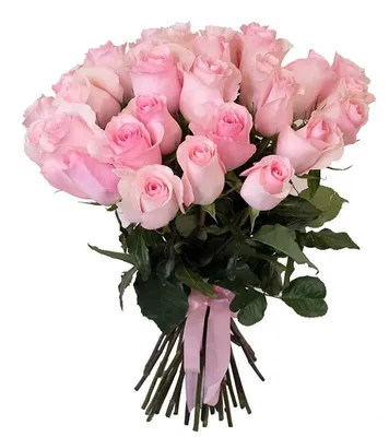 Купить букет из 3 розовых роз в Пензе, российские розы