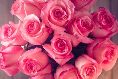 Букет из 25 светло-розовых роз