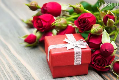 Сколько и какие розы подарить девушке на 8 марта: советы