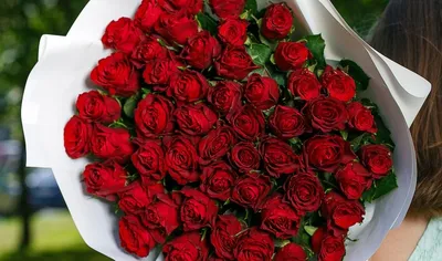 Купить Букет из 101 красной розы Премиум (70 см) с доставкой в Омске -  магазин цветов Трава