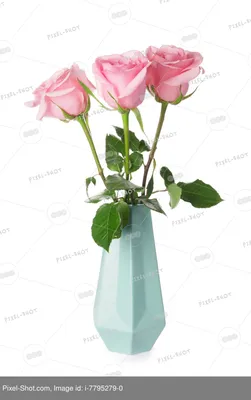 Красивые розовые розы в вазе на белом фоне :: Стоковая фотография ::  Pixel-Shot Studio