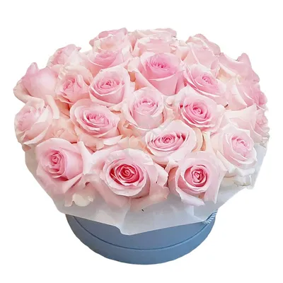 Купить розовые и белые розы в коробке в Ростове-на-Дону по цене 6500.00  руб. | Доставка без выходных