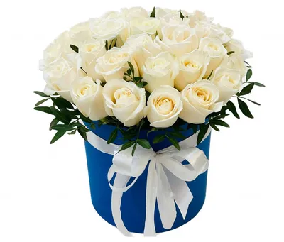 Розы в коробке купить Москва | Интернет-магазин dakotaflora.com