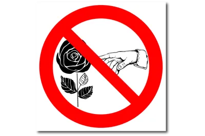 Знак Цветы руками не трогать