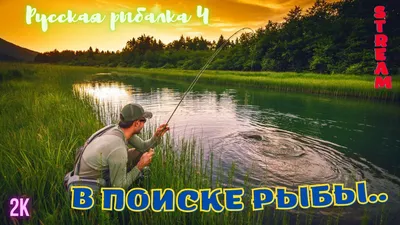 Купить Книга Русская рыбалка KSC-561(зн) по цене 23 698руб. с доставкой по  России | Магазин Кибет