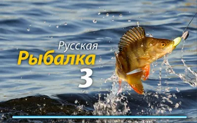 Ловите рыбу лучше в реальной жизни\" или обзор игры \"Русская рыбалка 4\" |  Пикабу
