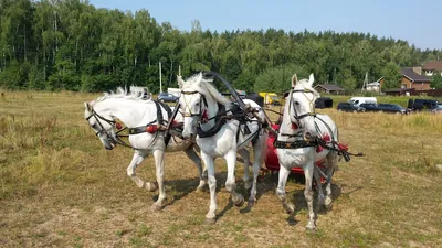 Русская тройка