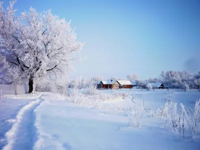 Русская зима в картинках фотографии