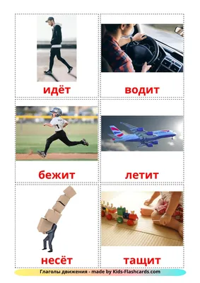 Русские глаголы движения в картинках