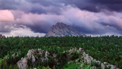 Обои горы, деревья, таганай, национальный парк, урал, россия картинки на рабочий  стол, фото скачать бесплатно
