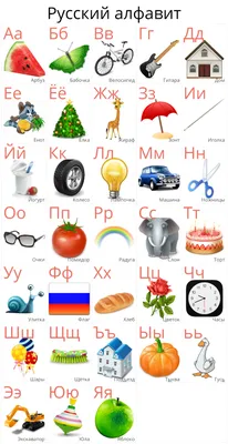 Русский алфавит для детей с буквами и картинками, дельфин, ёж, енот и  жираф. Stock Vector | Adobe Stock