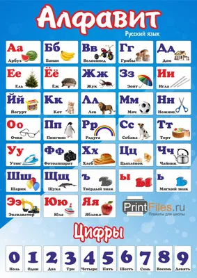 Цветной 'Русский алфавит' 24*24 см - купить с доставкой в интернет-магазине  О'КЕЙ в Краснодар