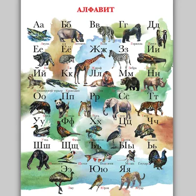 Русский алфавит с картинками животных