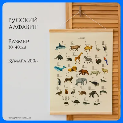 Развивающая игра «Английский алфавит. Животные» - Скачать шаблон | Раннее  развитие