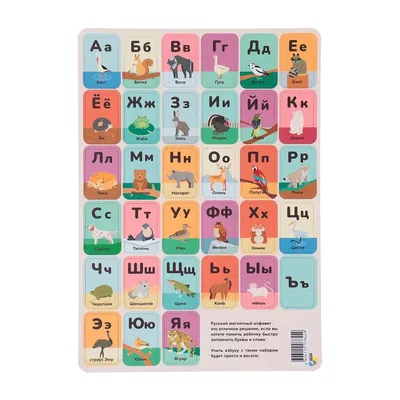 Алфавит | Alphabet poster, Children illustration, Kids poster