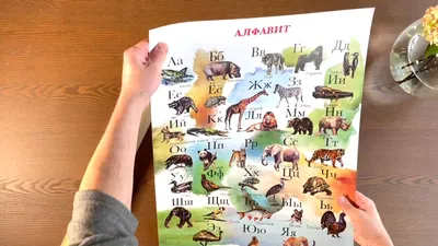 Алфавит магнитный \"Русский язык\" с картинками, 21х15 см 9854812  Издательская группа «Квадра» купить по цене от 138руб. | Трикотаж Плюс |  Екатеринбург, Москва
