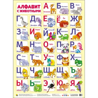 Животные Алфавита. Письмо От А До Я. Различные Животные Стоят Или Сидят  Рядом С Письмом. Алфавитная Диаграмма Обучения С Изображением Животных Для  Буквы И Названия Животного. Векторный Алфавит Зоопарка С Мультяшными  Животными