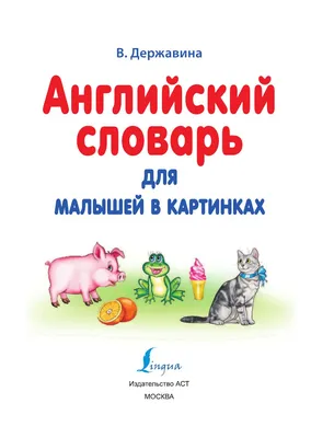 Визуальный словарь для детей. Мой первый английский словарь в картинках  купить книгу с доставкой по цене 913 руб. в интернет магазине |  Издательство Clever