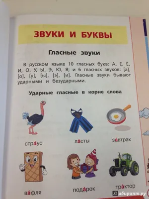 Иллюстрация 4 из 9 для Русский язык в картинках для современных детей -  Филипп Алексеев | Лабиринт -