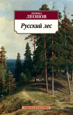 Русский лес березы в лете стоковое изображение. изображение насчитывающей  листво - 112597899