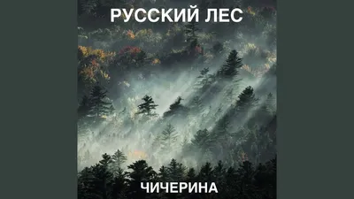 Санаторий «Русский лес» официальный сайт Владимирская область