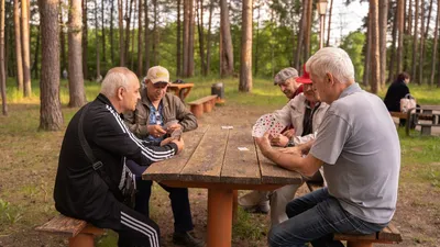 Русский лес летом стоковое фото. изображение насчитывающей лето - 169739794