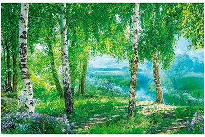 Русский лес зимы стоковое изображение. изображение насчитывающей пасмурно -  155244427